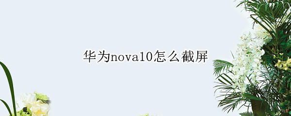 华为nova10截屏方法汇总一览
