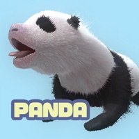 Newborn panda ios版