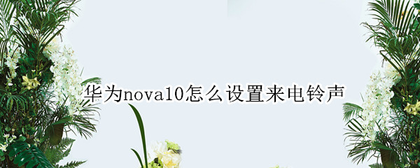 华为nova10如何更换来电铃声