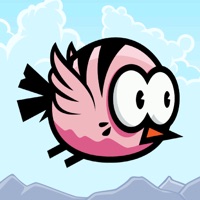 Coco Bird ios版