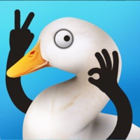 长手的鸭子 ios版