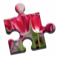 Blooming Flowers Puzzle ios版