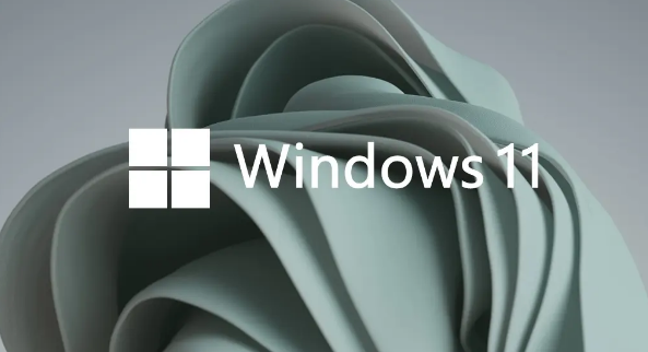 Windows11打开快速助手步骤介绍