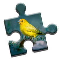 Bird Watching Puzzle ios版
