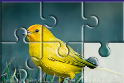 image.png