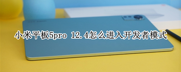 小米平板5pro12.4开发者模式怎么开