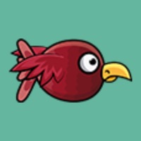 BirdHunting Playground ios版