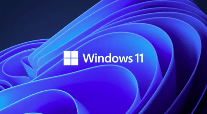 Windows11限制带宽流量方法介绍