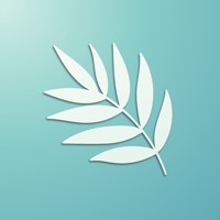 薄荷翻译:多语言 ios版