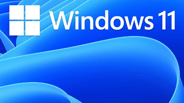 Windows11启动程序net服务教程分享
