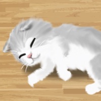 治愈的猫育成游戏 ios版