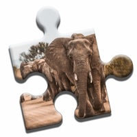 Safari Jigsaw Puzzle ios版