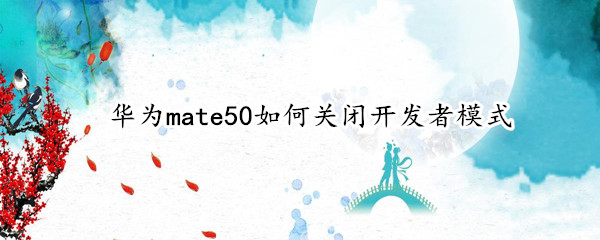 华为mate50怎么关闭开发者选项