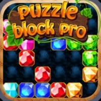 Puzzle Block Pro ios版