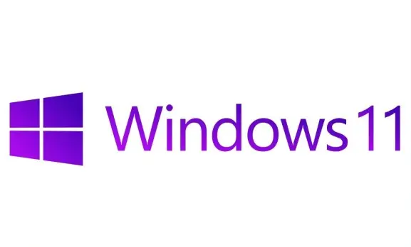 Windows11修复ipconfig命令教程分享