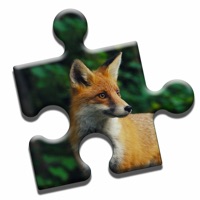 Curious Fox Puzzle ios版