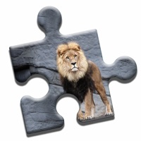 King Lion Puzzle ios版