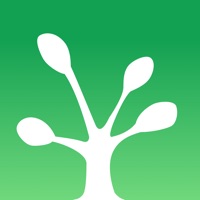 大树日记 ios版
