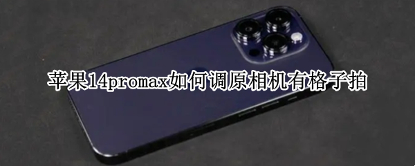 苹果14promax相机网格在哪开