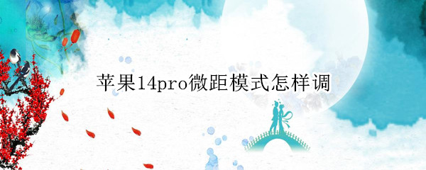 苹果14pro怎么开启微距模式