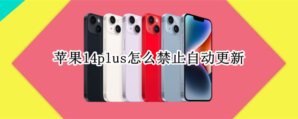 苹果14plus关闭系统自动更新教程分享