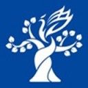 梧桐中文 ios版