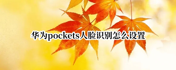 华为pockets怎么开启人脸解锁