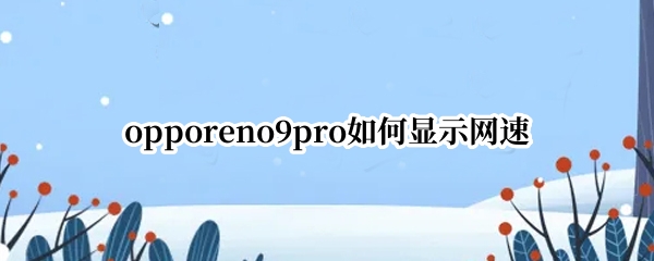 opporeno9pro怎么开启实时网速显示