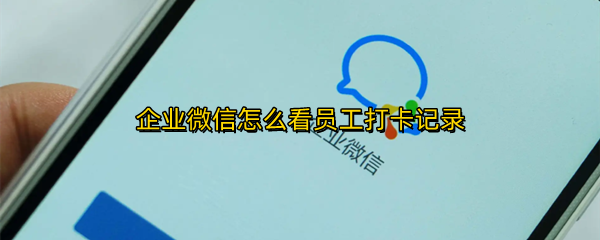 企业微信怎么查看团队考勤记录