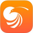 掌上金鹰 ios版