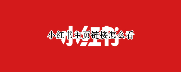 小红书怎么分享主页链接