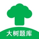 大树题库 ios版