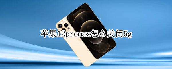 苹果12promax在哪关闭5g