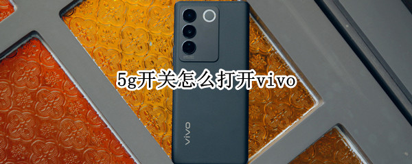 vivos16如何打开5g开关