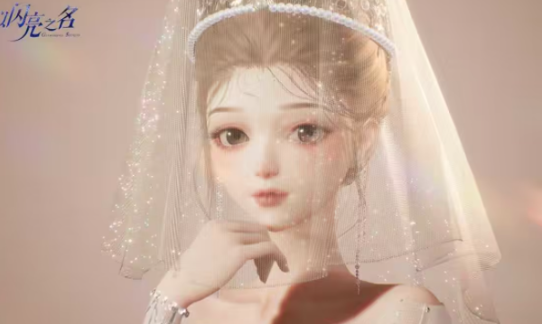 以闪亮之名爱意私有品质如何