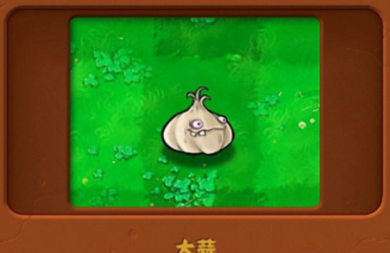 植物大战僵尸2大蒜伤害怎么样