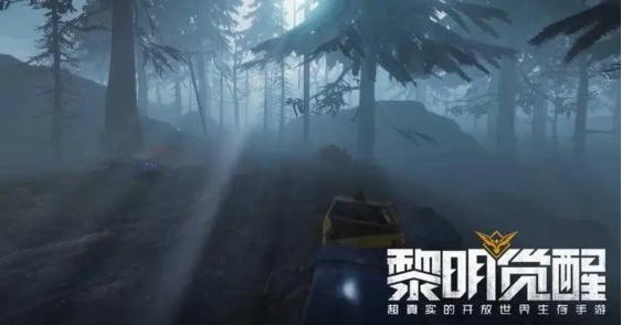 黎明觉醒拾荒者聚落宝箱在什么位置