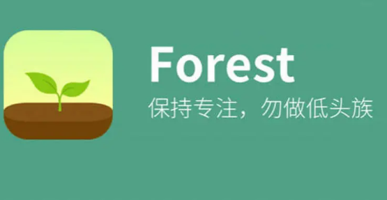 forest专注森林如何删除标签