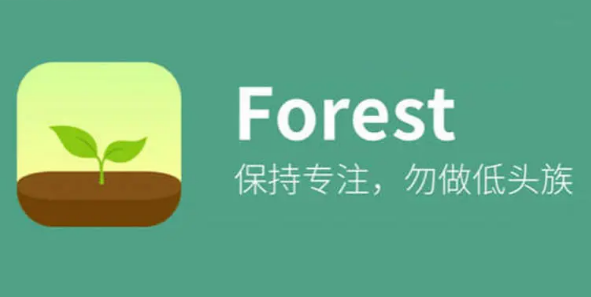 forest专注森林和好友一起种树教程分享
