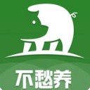 不愁养猪 ios版