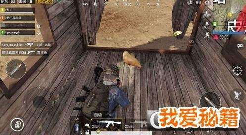 刺激战场第四周内累计抓住10只鸡攻略_鸡刷新位置