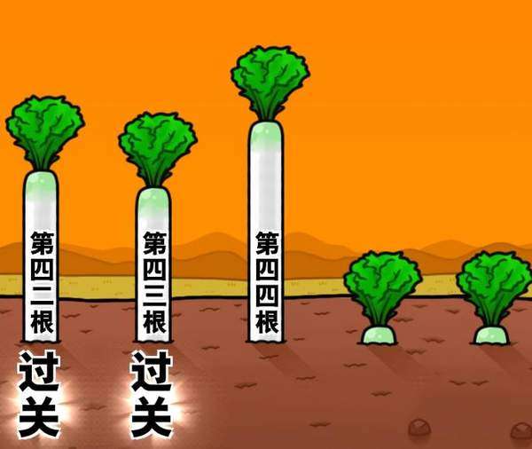 抱紧大根怎么玩？