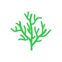 年轮 ios版
