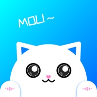 魔力 ios版