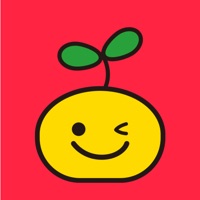橘兜账本 ios版