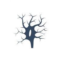 苔藓 ios版