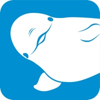 静静 ios版