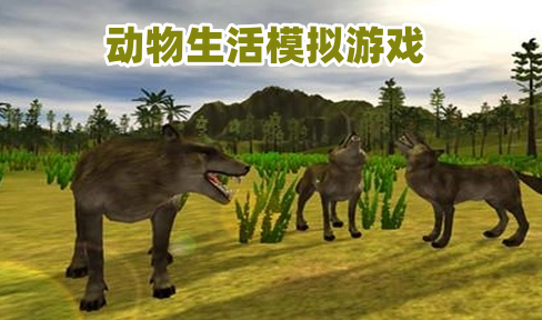 动物生活模拟游戏