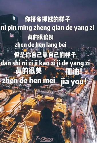 抖音你拼命挣钱的样子图片分享1