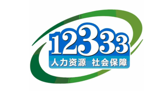 掌上12333社保缴费记录怎么查询